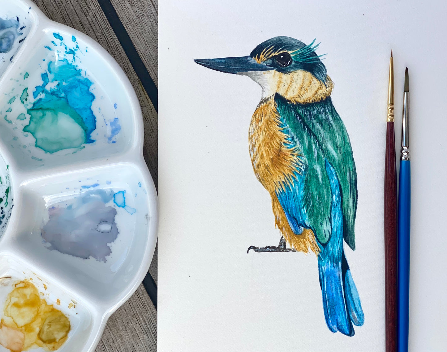 KINGFISHER / KOTARE fine art Print