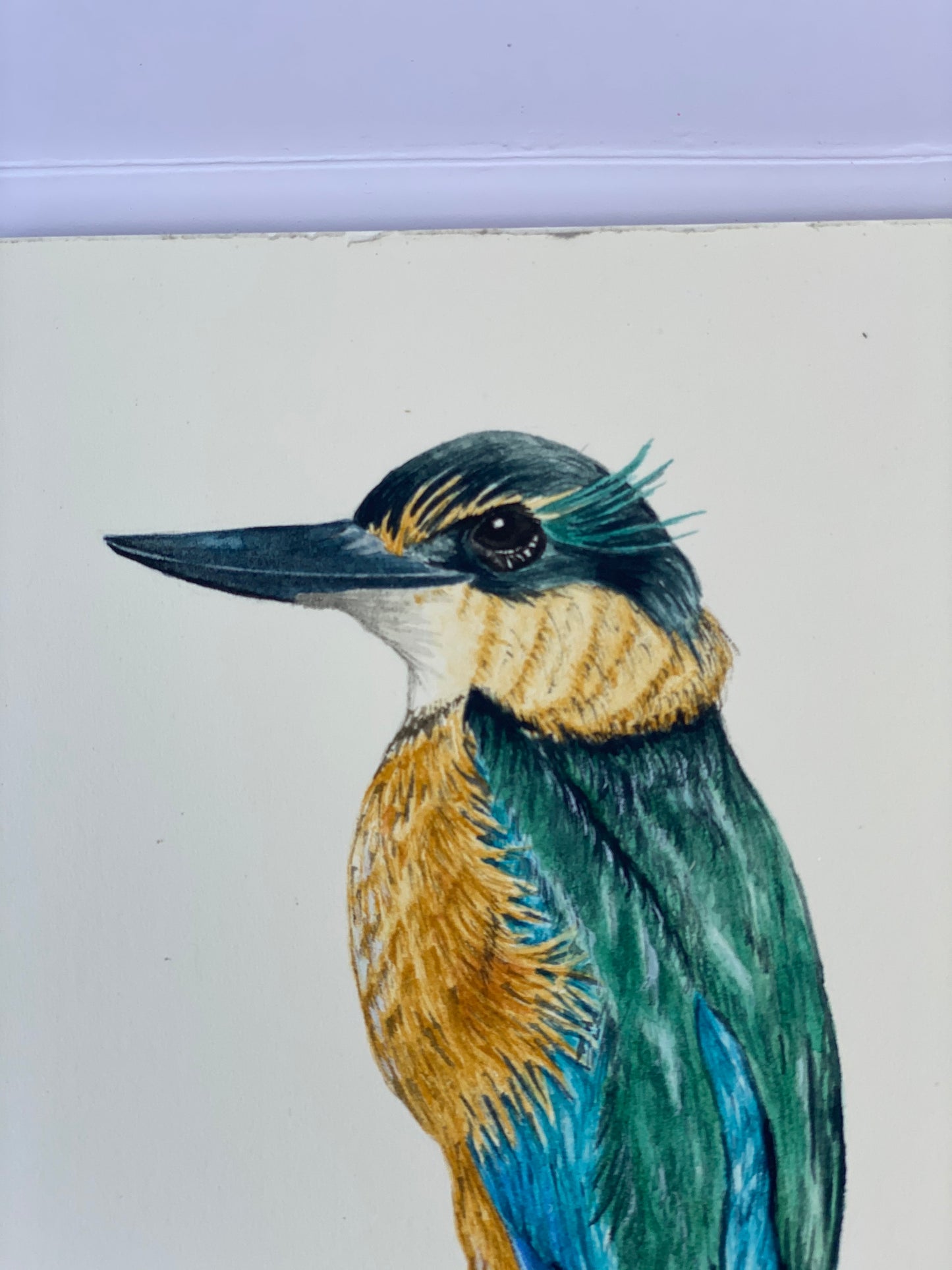 KINGFISHER / KOTARE fine art Print
