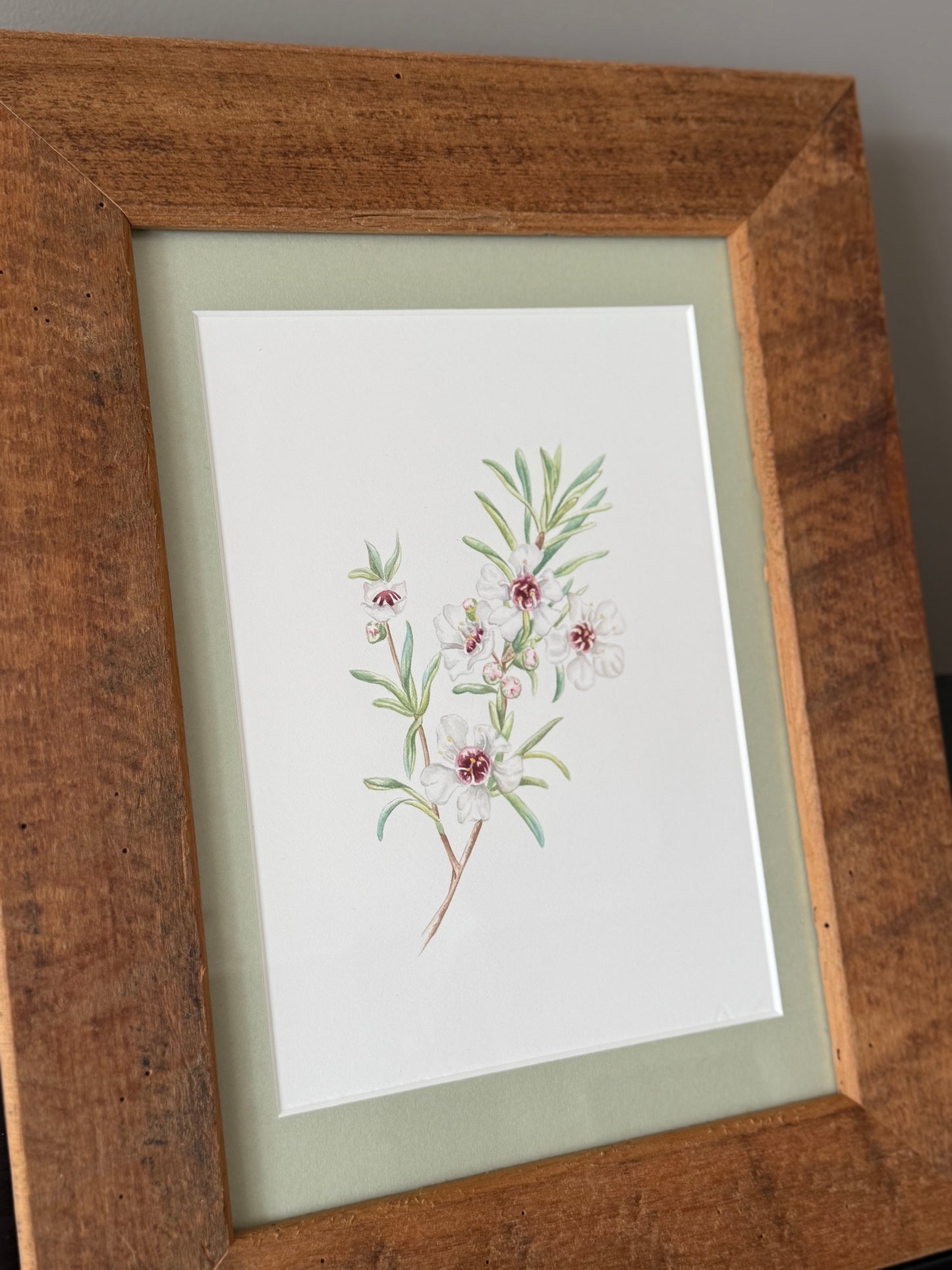 KANUKA FLOWER fine art print