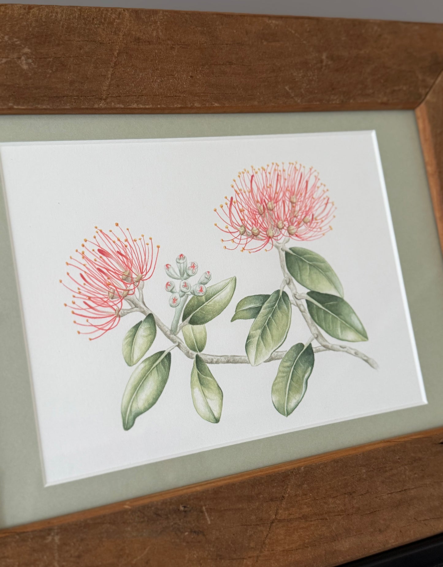 POHUTUKAWA FLOWER fine art print