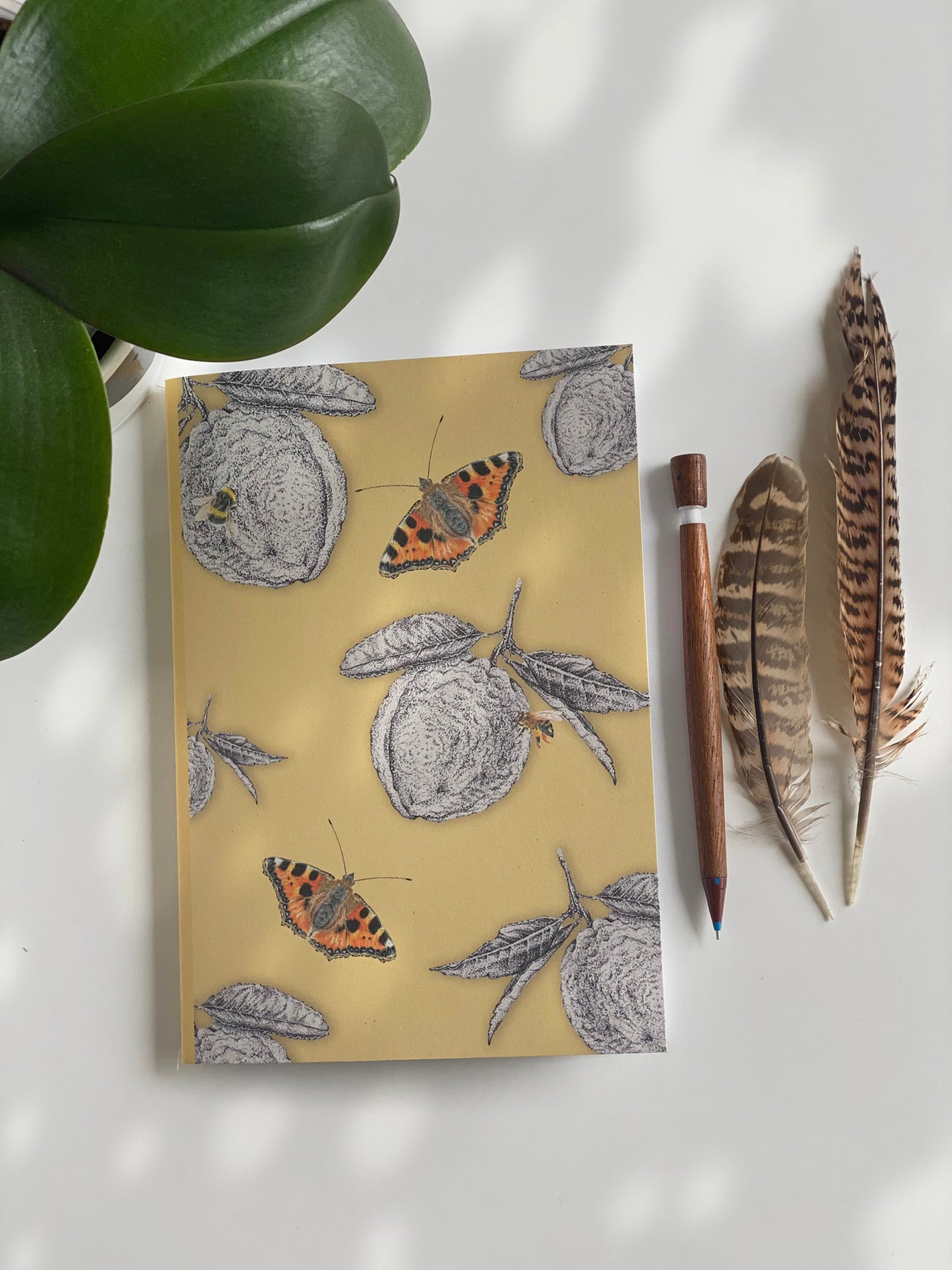 LEMONS notebook