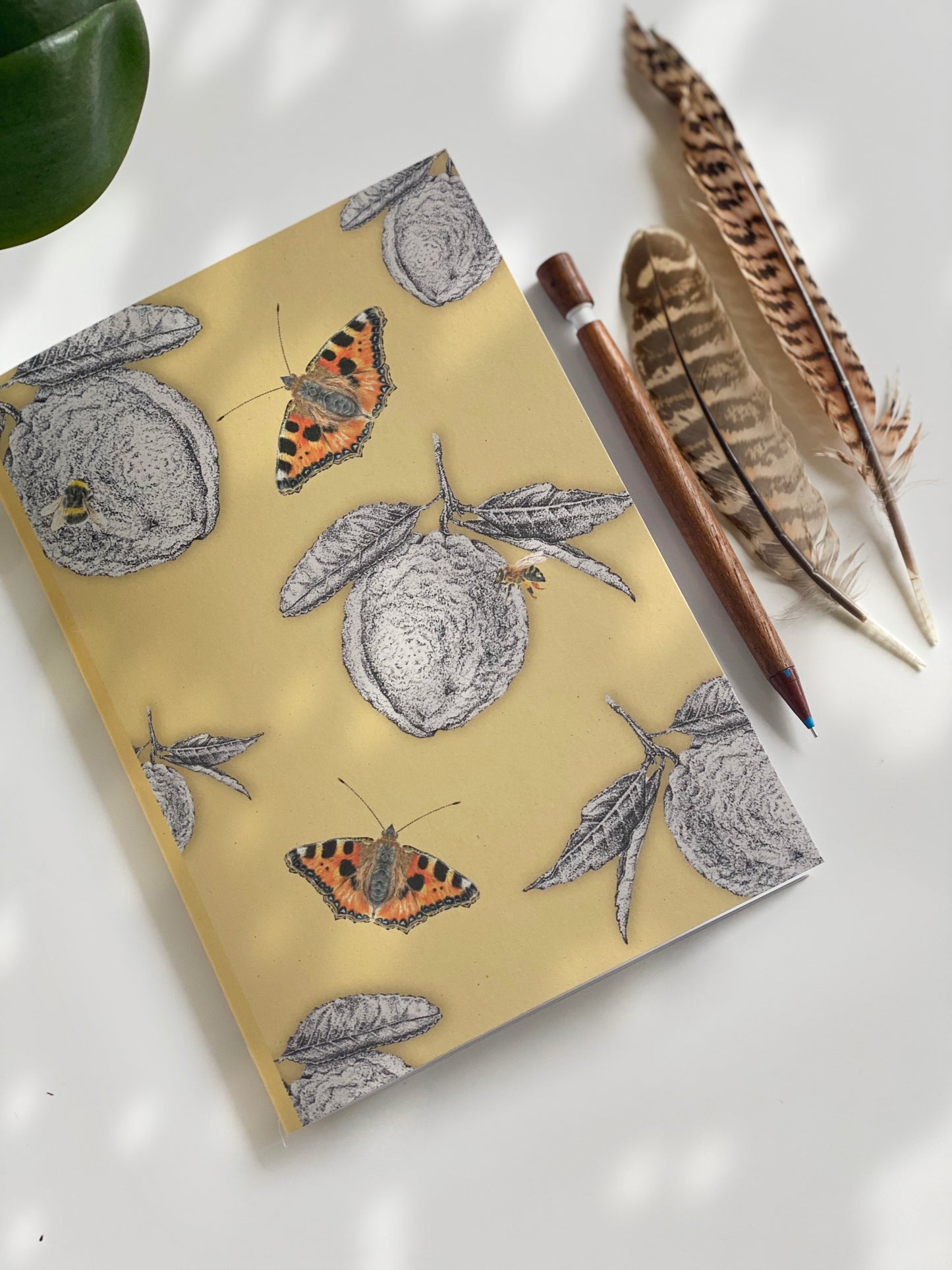 LEMONS notebook