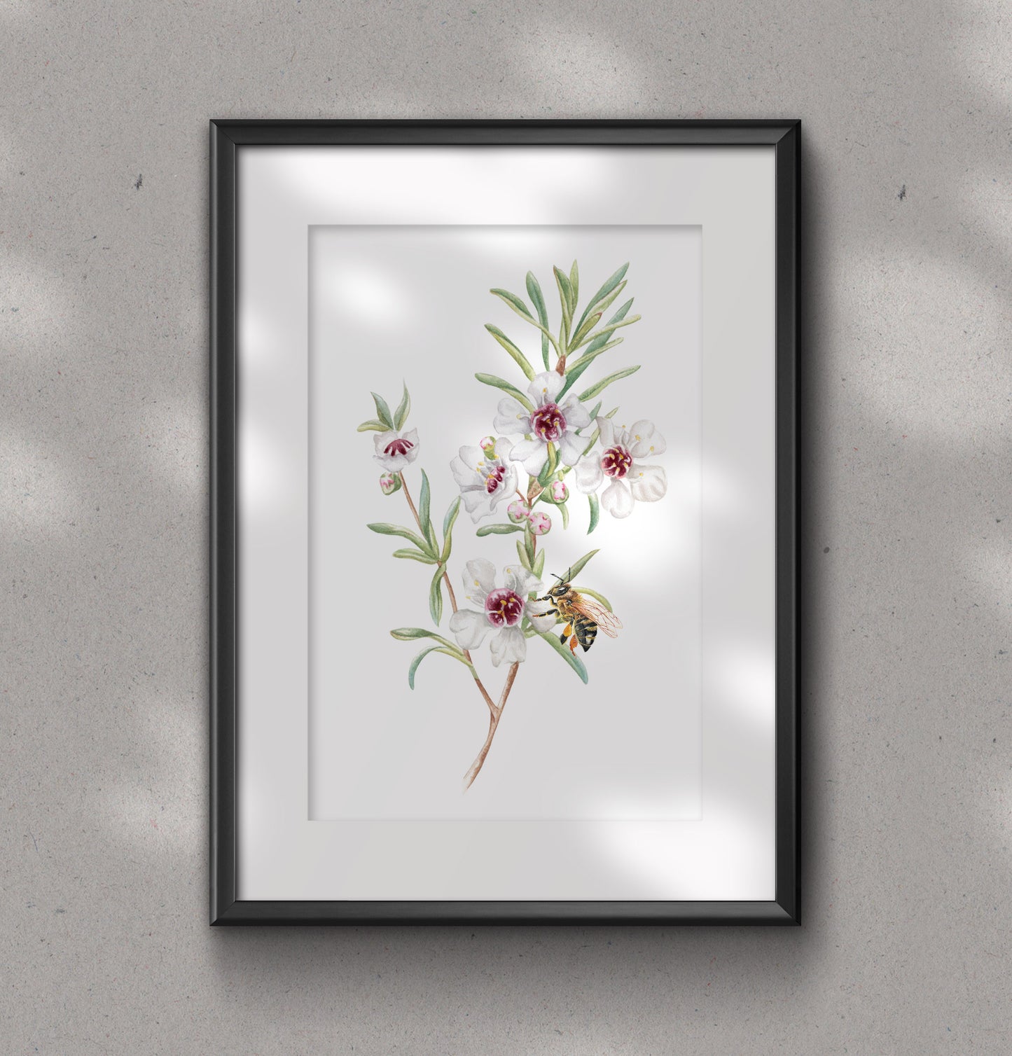 KANUKA FLOWER fine art print