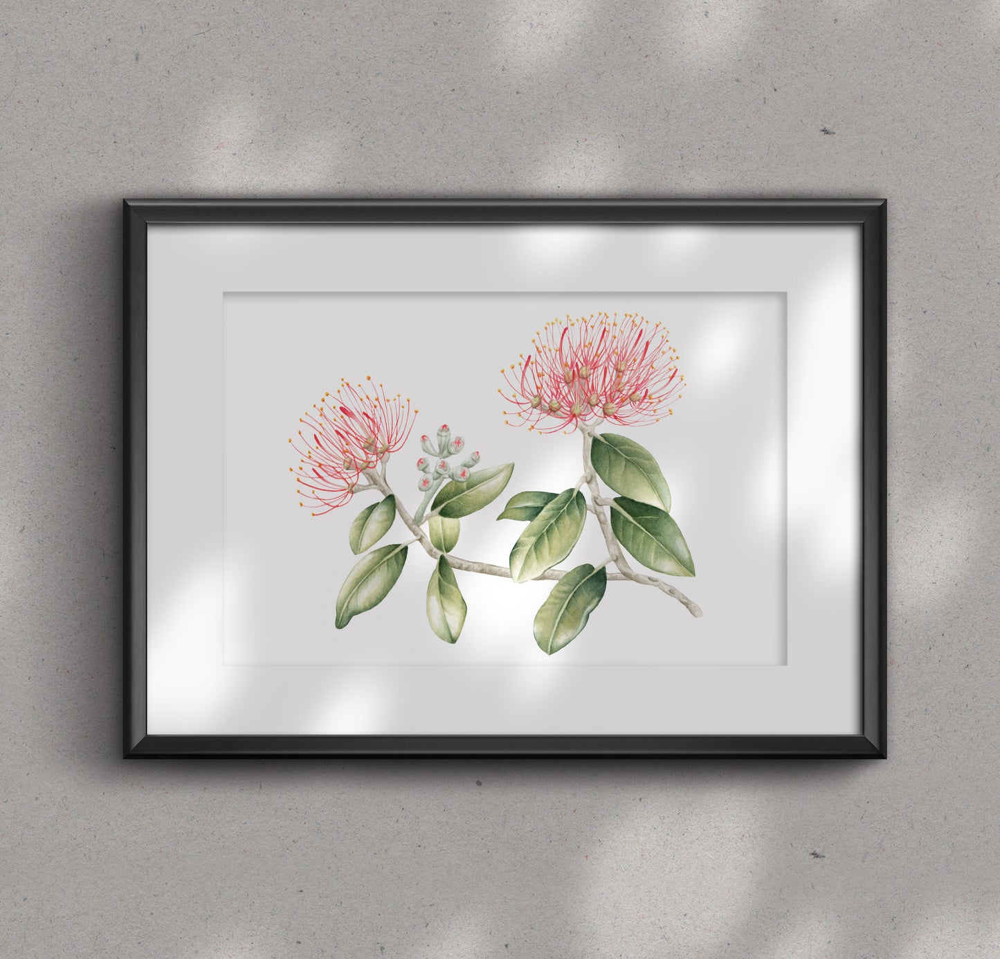 POHUTUKAWA FLOWER fine art print