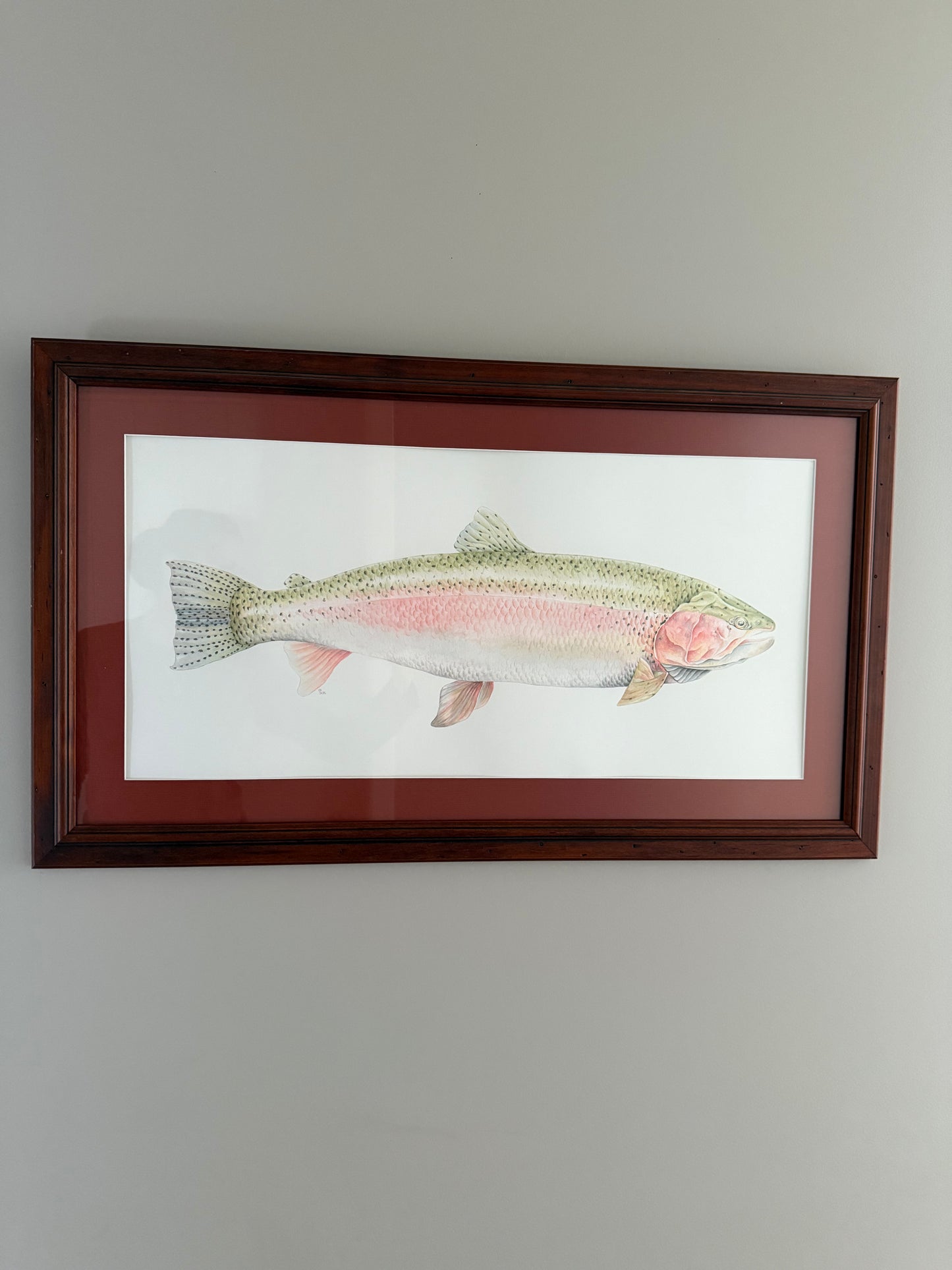 RAINBOW TROUT fine art Print