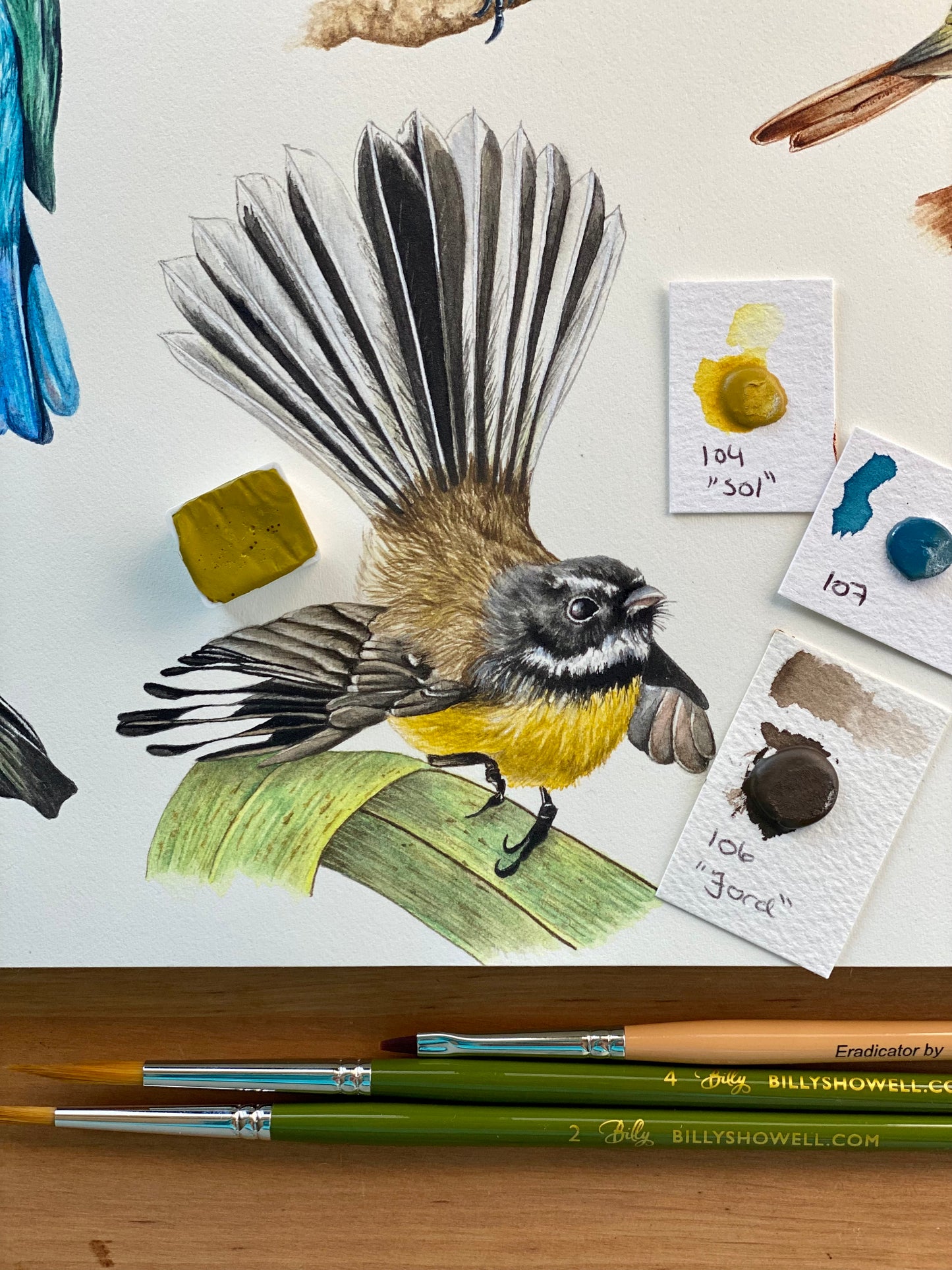FANTAIL / PIWAKAWAKA fine art Print