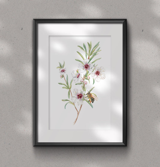 KANUKA FLOWER fine art print