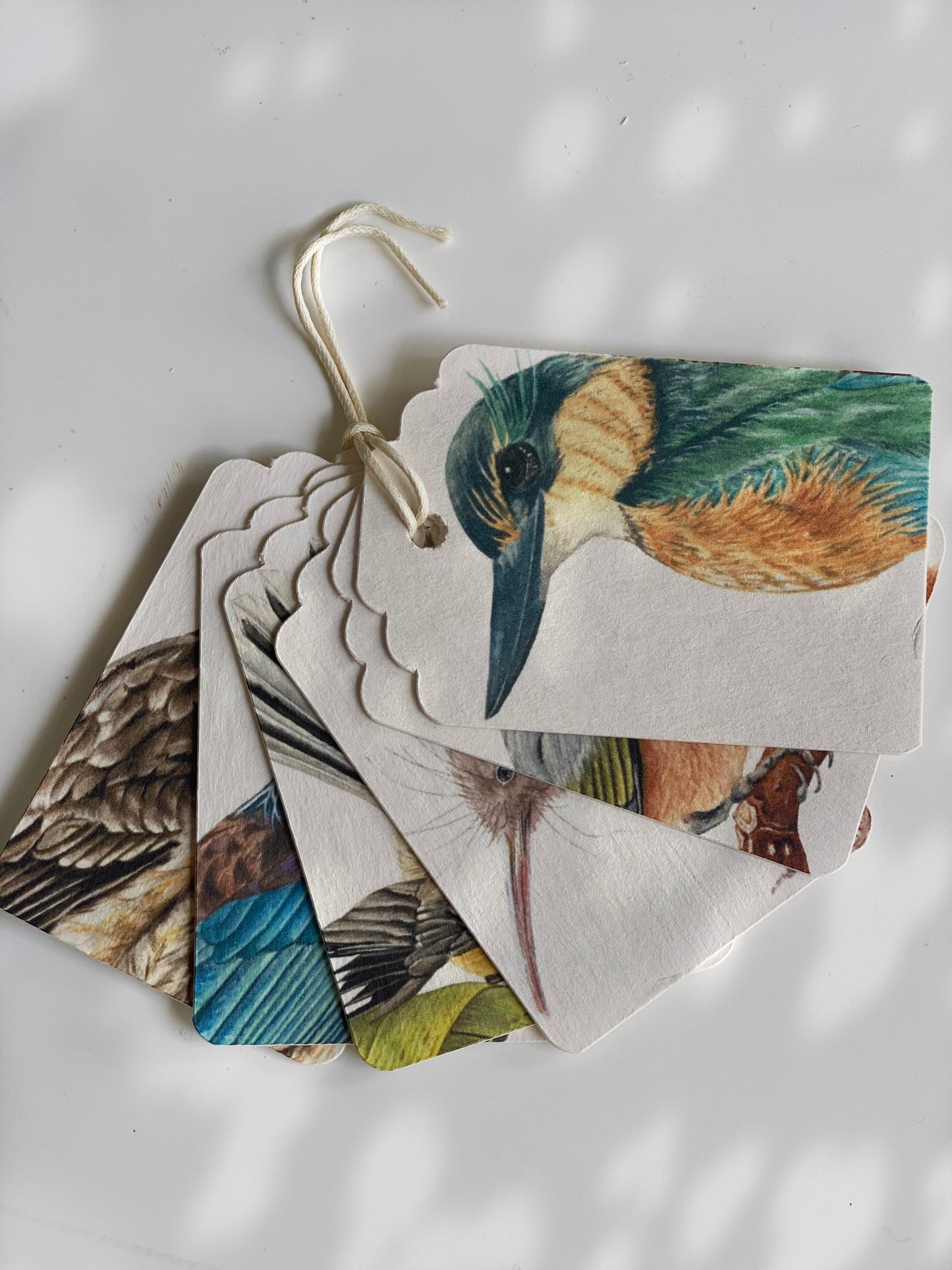 NEW ZEALAND BIRDS Gift Tags