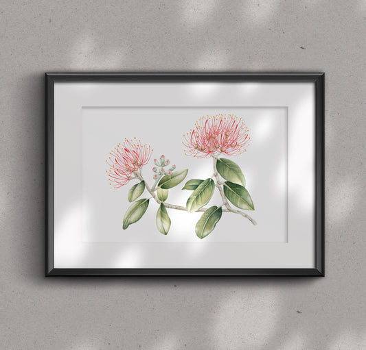 POHUTUKAWA FLOWER fine art print