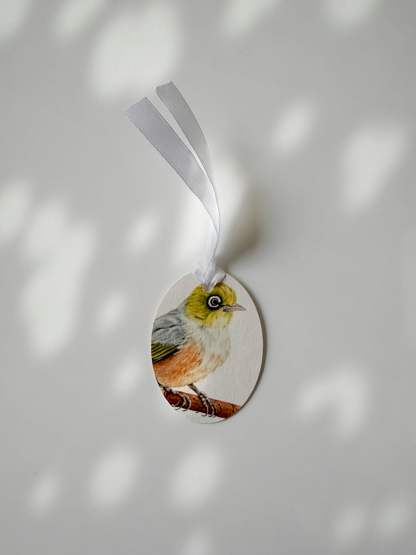 NEW ZEALAND BIRDS Gift Tags